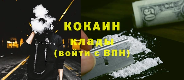 мет Алексин