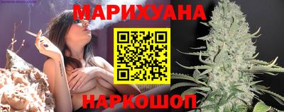 сатива Малоярославец