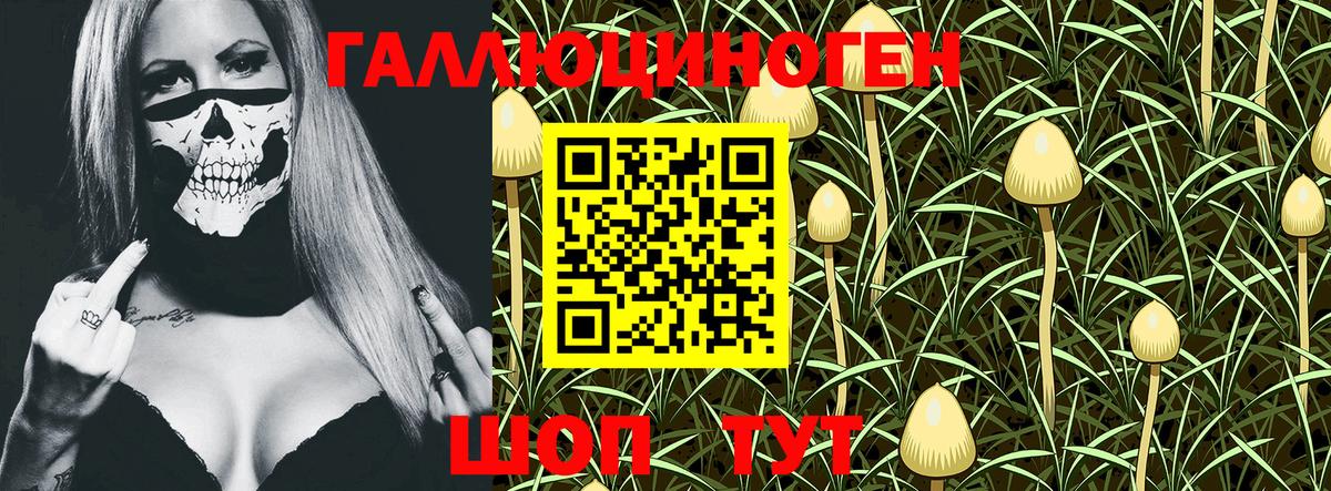 Псилоцибиновые грибы мицелий  Вход с VPN  Самара  Псилоцибиновые грибы Magic Shrooms 